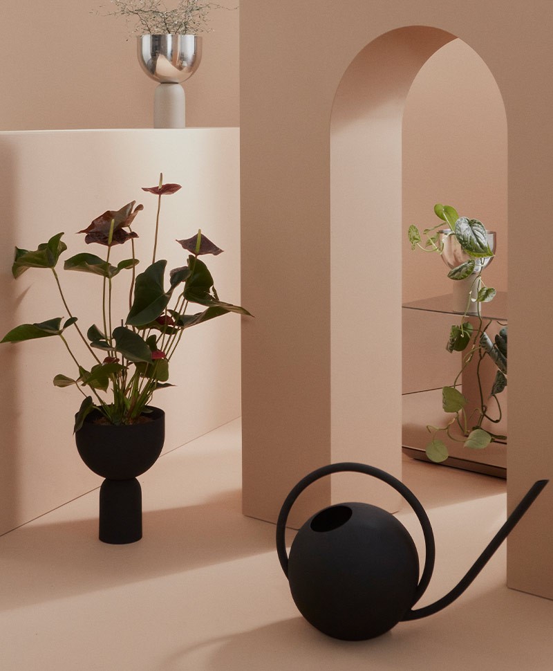 Hier abgebildet ist ein Moodbild der GLOBE Gießkanne von Aytm in Schwarz – im Onlineshop RAUM concept store
