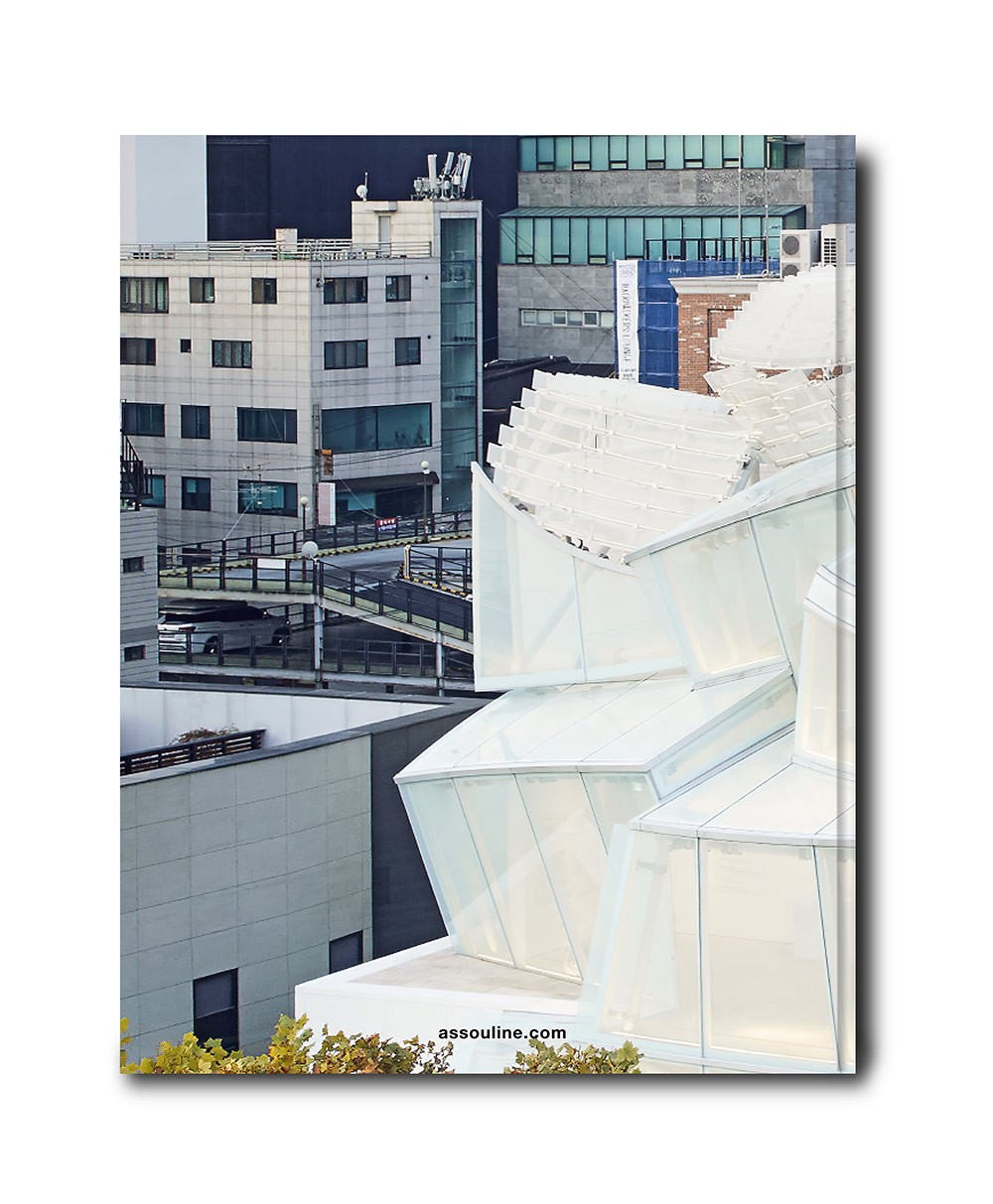 Rückseite in der Seoul Edition des Bildband Louis Vuitton aus der Skin Kollektion von Assouline im RAUM concept store