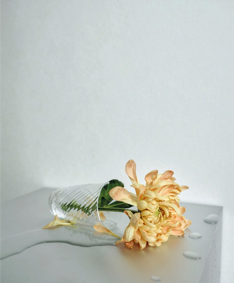 Moodfoto im Bannerformat, das eine umgekippte Blumenvase zeigt