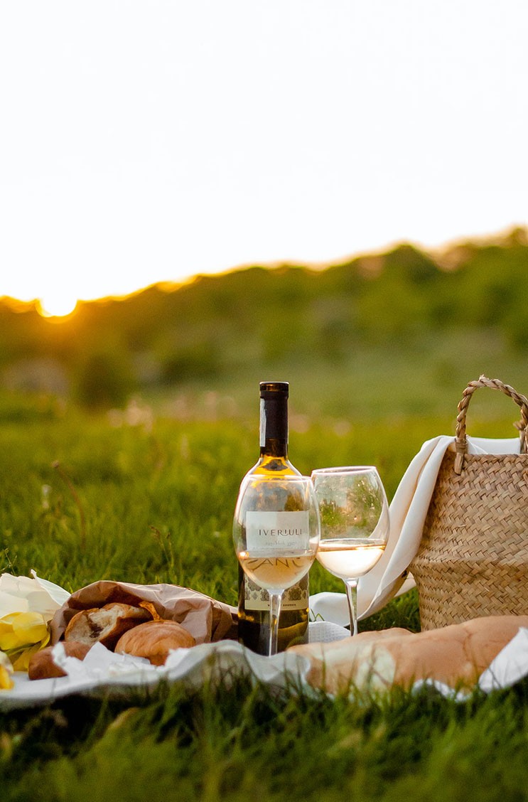 Hier sehen Sie ein Moodbild von einem Picknick mit Wein - Kategorie Summer Essentials im RAUM concept store