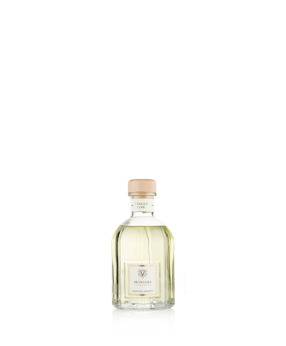 Ginger Lime Diffuser 250ml aus der Home Fragrance Collection von Dr. Vranjes Firenze im RAUM Conceptstore