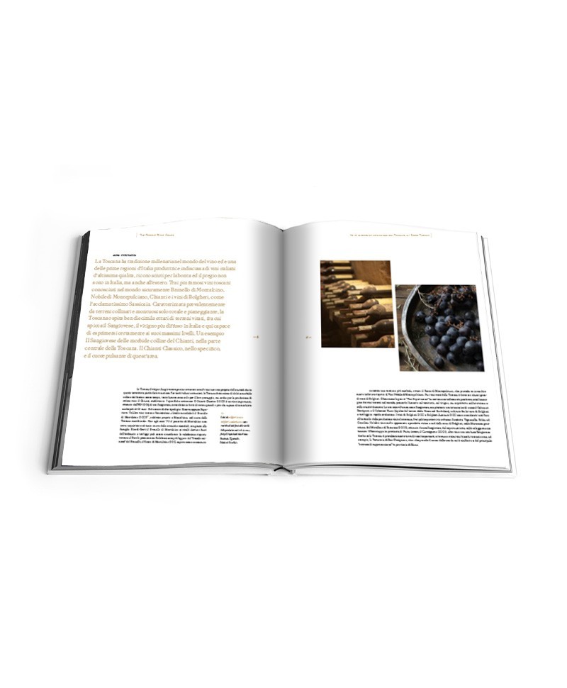 Hier sehen Sie die Innenansicht des Bildband The Perfect Wine Cellar: The Ultimate Guide for Great Wine Collectors von Rizzoli New York – im Onlineshop RAUM concept store