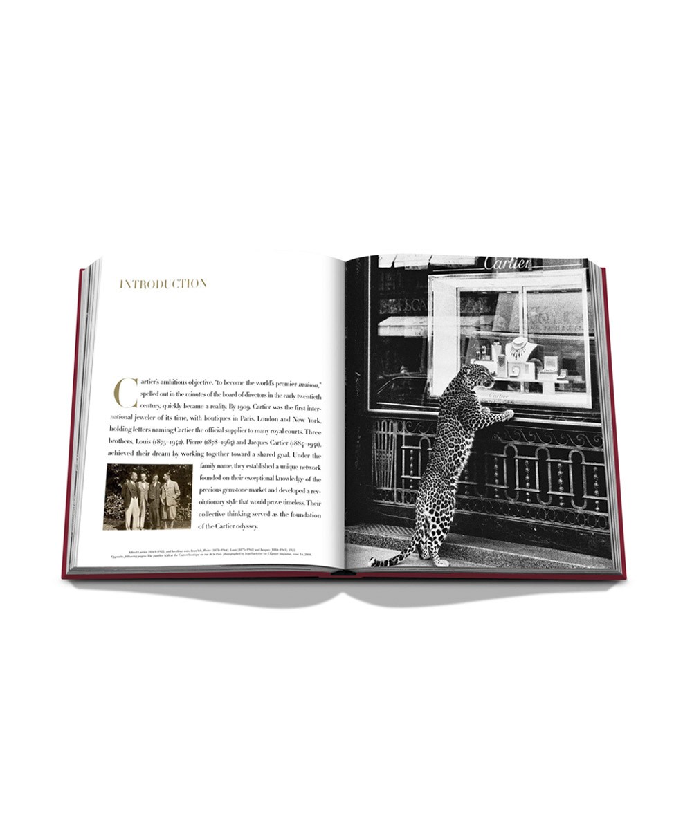 Aufgeschlagene Seite des Bildbands „Cartier: The Impossible Collection“ von Assouline im RAUM concept store 