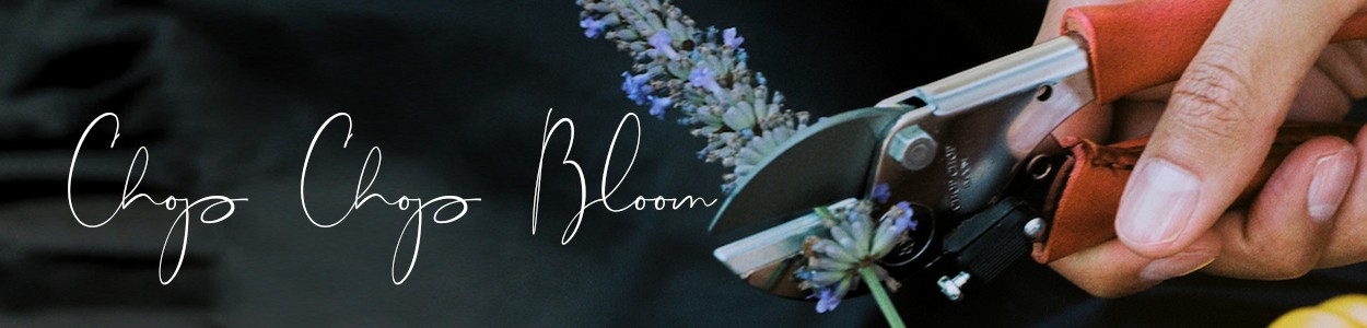 Hier abgebildet ein Banner der Brand Chop Chop Bloom - RAUM concept store