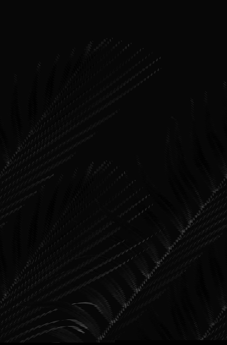 Hier sehen Sie ein Moodbild von der Kategorie Black Edition - RAUM concept store Hier sehen Sie ein Moodbild von der Kategorie Black Edition - RAUM concept store