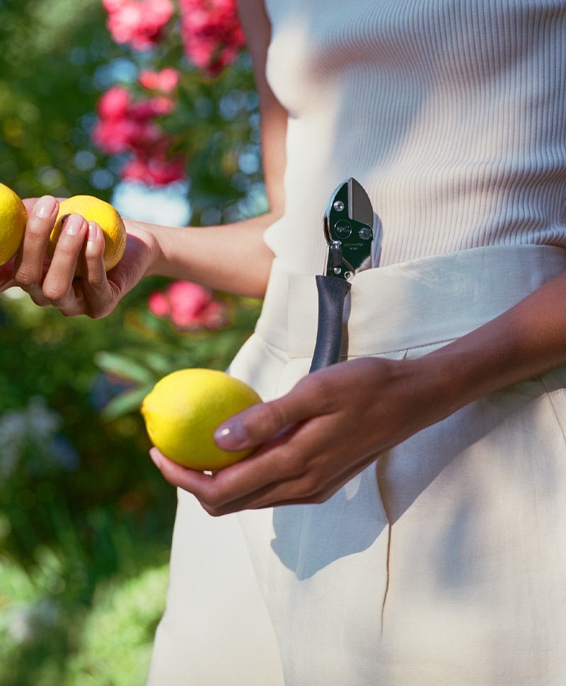 Eine Frau mit einer Chop Chop Gartenschere hält zwei Zitronen in den Händen und