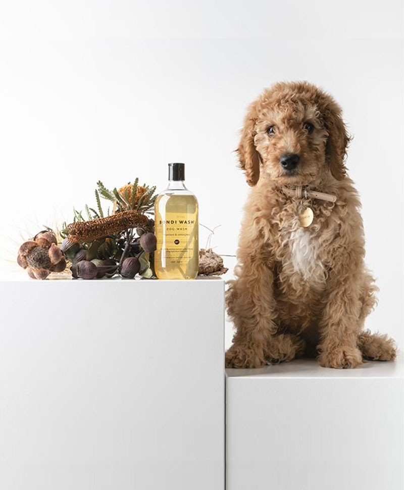 Hier sehen Sie: Hundeshampoo - DOG WASH%byManufacturer%