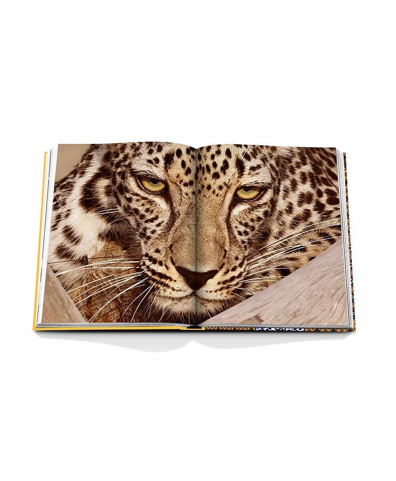 Hier abgebildet ist der Bildband Arabian Leopard von Assouline – im Onlineshop RAUM concept store