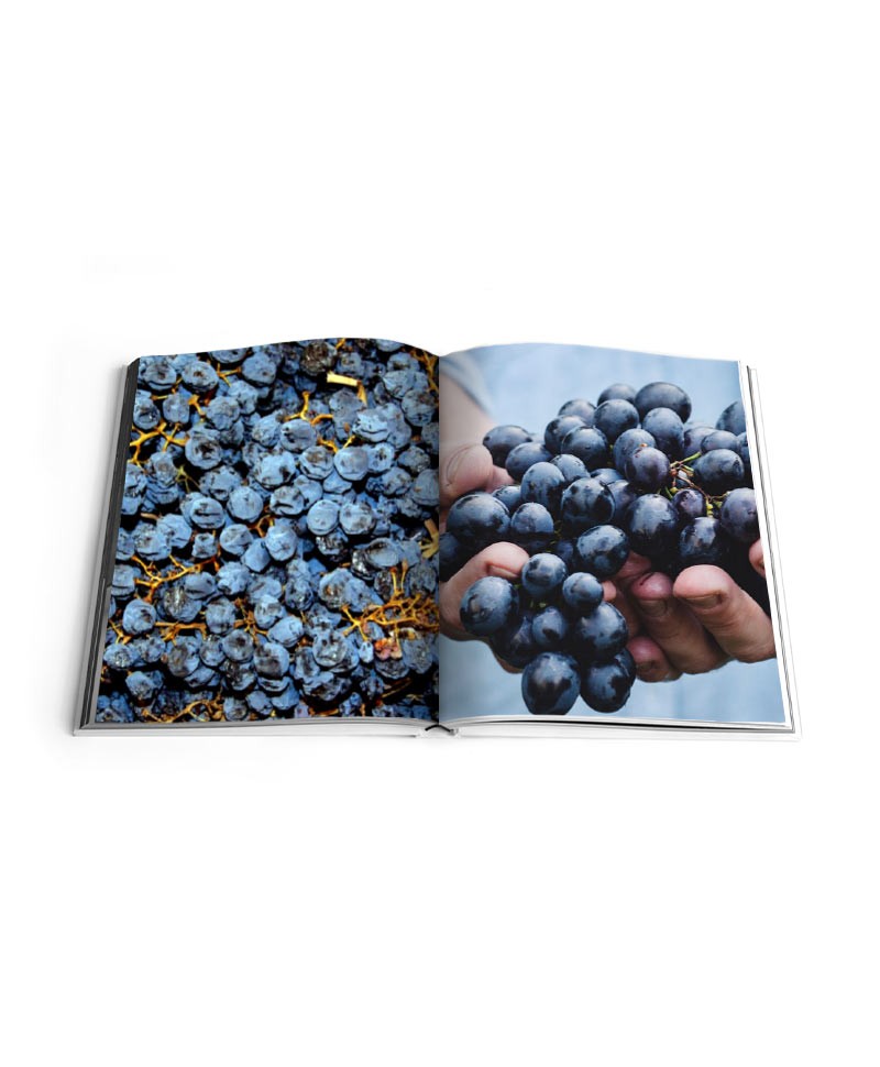 Hier sehen Sie die Innenansicht des Bildband The Perfect Wine Cellar: The Ultimate Guide for Great Wine Collectors von Rizzoli New York – im Onlineshop RAUM concept store Hier sehen Sie die Innenansicht des Bildband The Perfect Wine Cellar: The Ultimate Guide for Great Wine Collectors von Rizzoli New York – im Onlineshop RAUM concept store