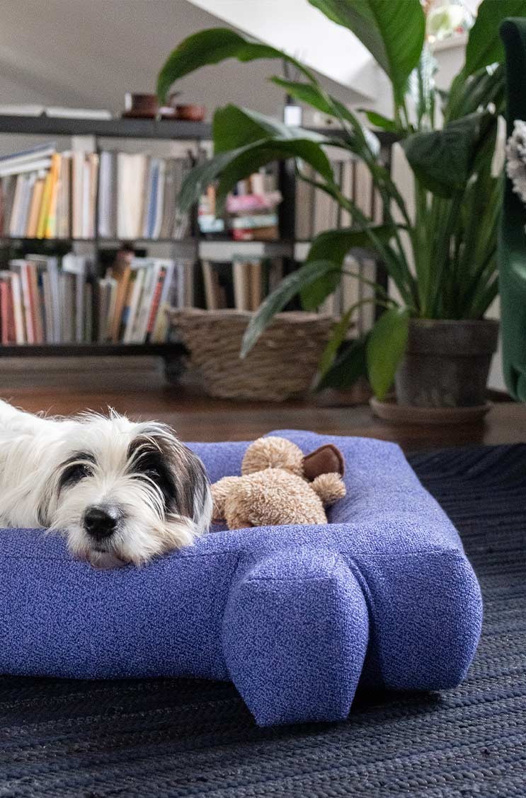 Hier sehen Sie ein Moodbild des Upcycling Hundebetts von LPJ Studios – im Onlineshop RAUM concept store