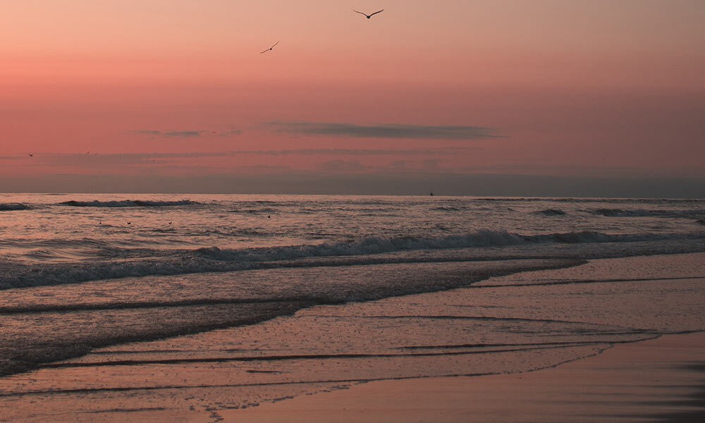 Bannerbild eines Strandes bei Sonnenuntergang
