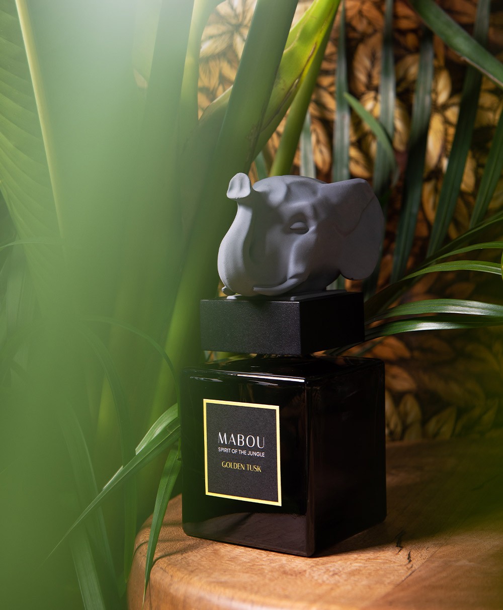 Moodbild der Duftskulptur Elephant Golden Tusk von Mabou – im RAUM concept store