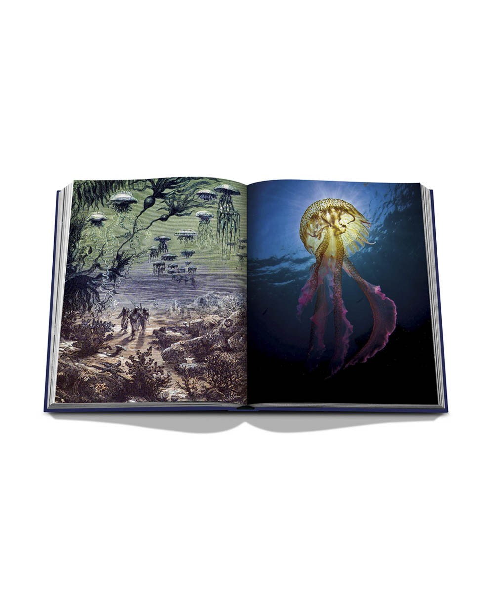 Aufgeschlagene Seite des Bildbands „Ocean Wanderlust“ von Assouline im RAUM concept store 