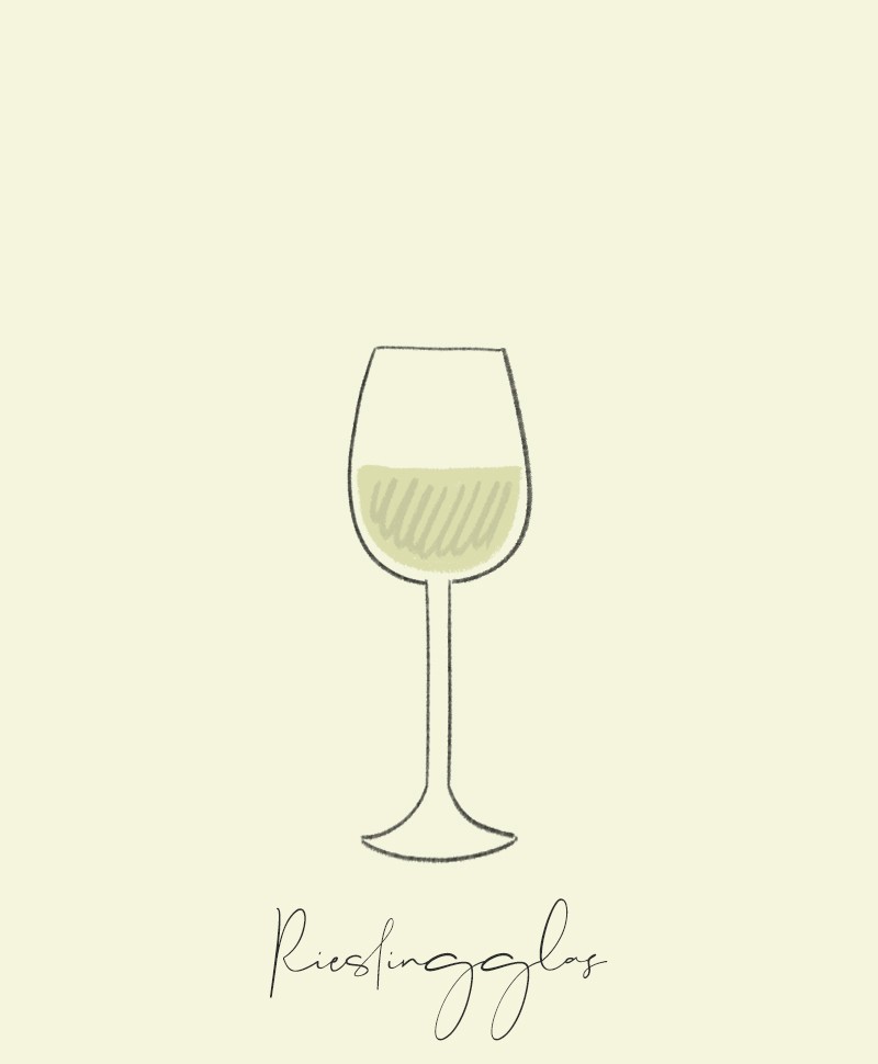 Hier sehen Sie eine Illustration eines Rieslingglases im Blog Beitrag "Welches Glas passt zu welchem Wein" im RAUM concept store