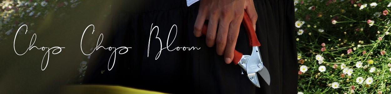 Hier abgebildet ein Banner für die Brand Chop Chop Bloom - RAUM concept store