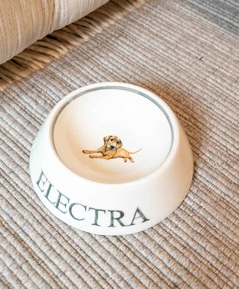 Moodbild der personalisierten Hundeschüssel von Sofina Porzellan im RAUM concept store - Hund Electra