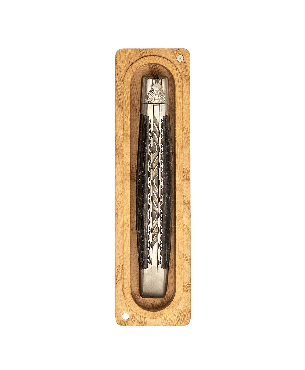 Hier abgebildet ist das Produktbild des Taschenmesser Karbon mit Farbreflexen Doppelplatine von Laguiole en Aubrac – im Onlineshop RAUm concept store